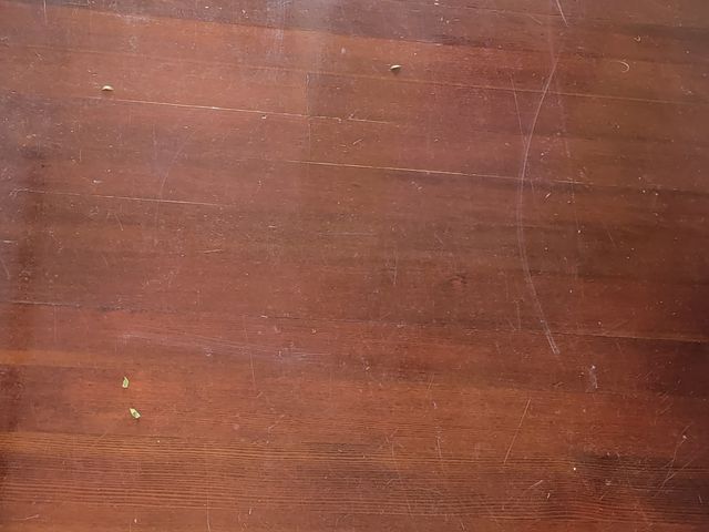 Close-up of a glossy finished wood floor